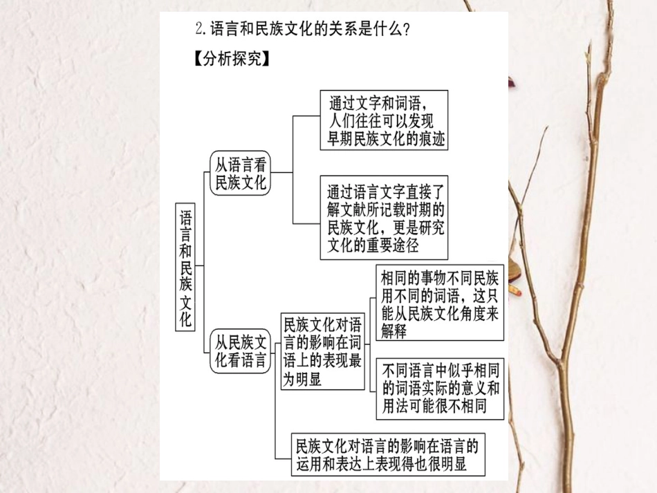 高中语文 第六课 语言的艺术 第四节 入乡问俗-语言和文化课件 新人教版选修《语言文字应用》(1)_第3页