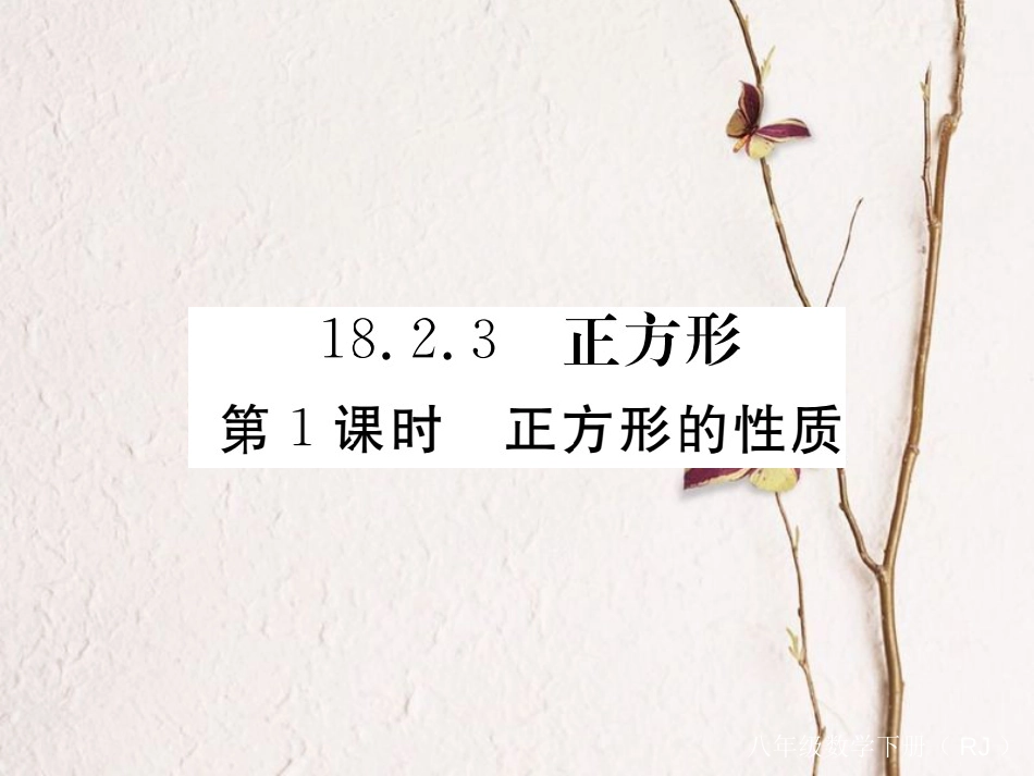 江西省八年级数学下册 第十八章 平行四边形 18.2 特殊的平行四边形 18.2.3 正方形 第1课时 正方形的性质练习课件 （新版）新人教版(1)_第1页