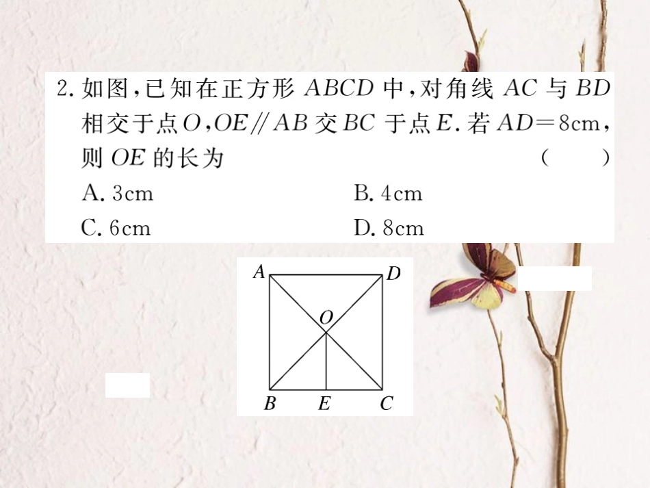 江西省八年级数学下册 第十八章 平行四边形 18.2 特殊的平行四边形 18.2.3 正方形 第1课时 正方形的性质练习课件 （新版）新人教版(1)_第3页