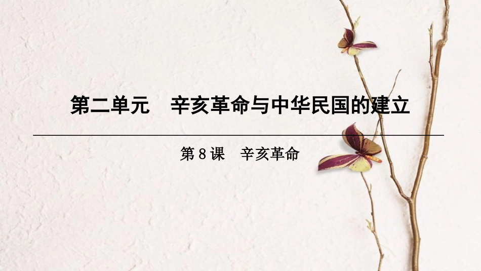 八年级历史上册 第2单元 辛亥革命与中华民国的建立 第8课 辛亥革命课件 北师大版_第1页