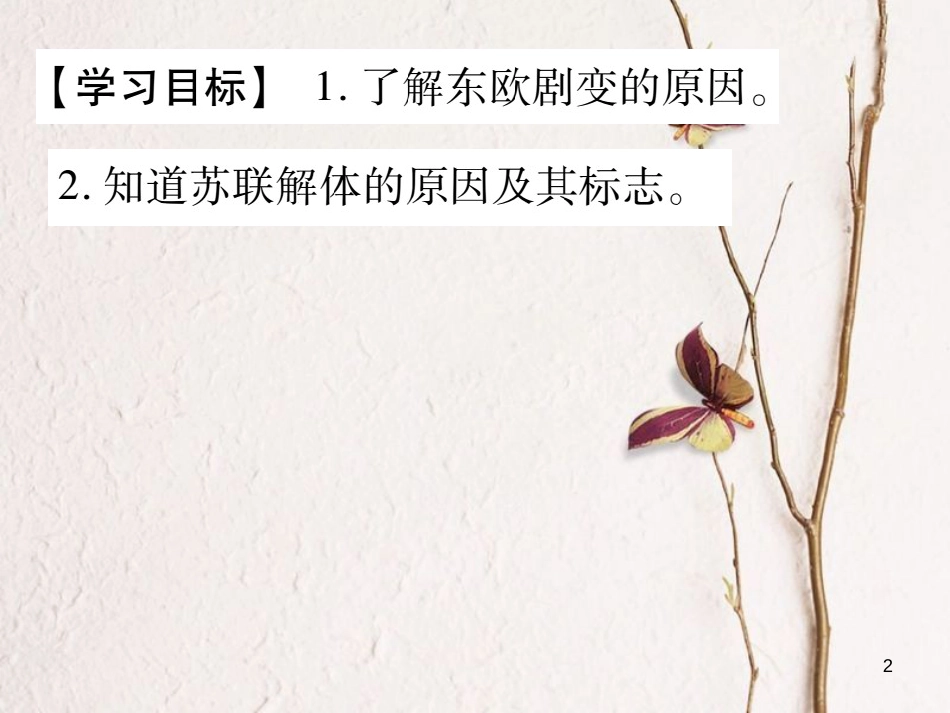 九年级历史下册 第五单元 社会主义国家的改革与演变 第13课 东欧剧变和苏联解体作业课件 岳麓版_第2页