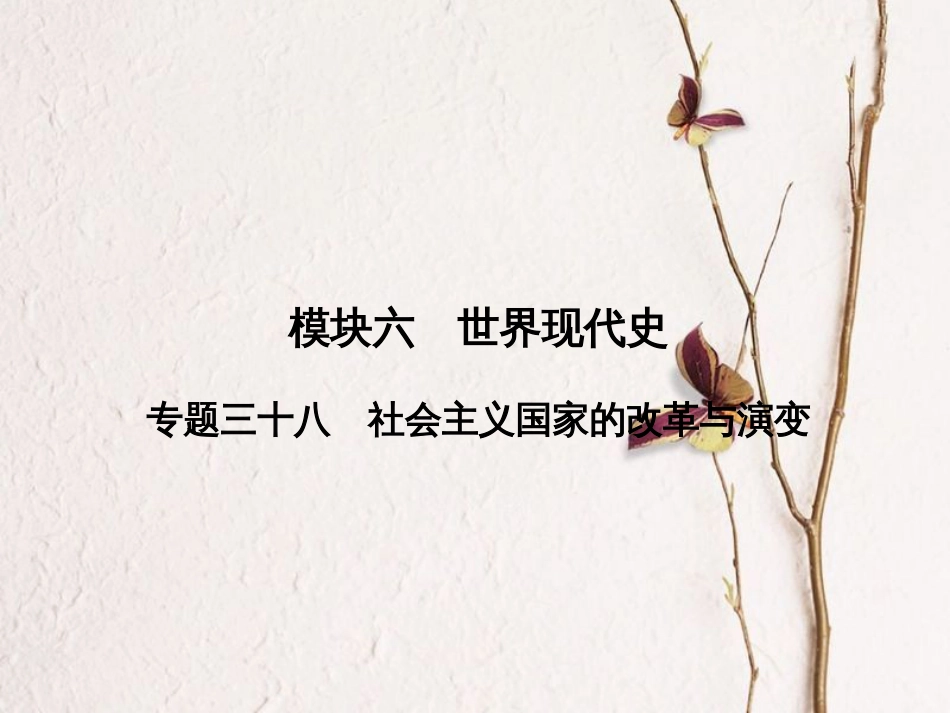安徽省中考历史复习 第2部分 教材研析篇 模块6 世界现代史 专题38 社会主义国家的改革与演变课件 新人教版(1)_第2页