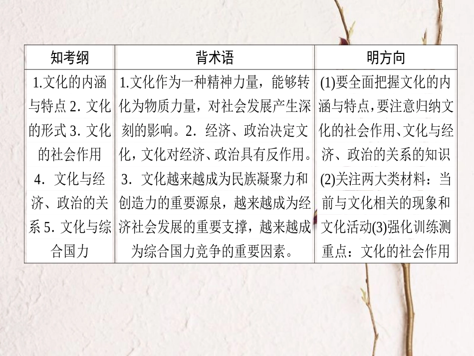 2019年高考政治一轮复习 第一单元 文化与生活 1 文化与社会课件 新人教版必修3[共53页]_第2页