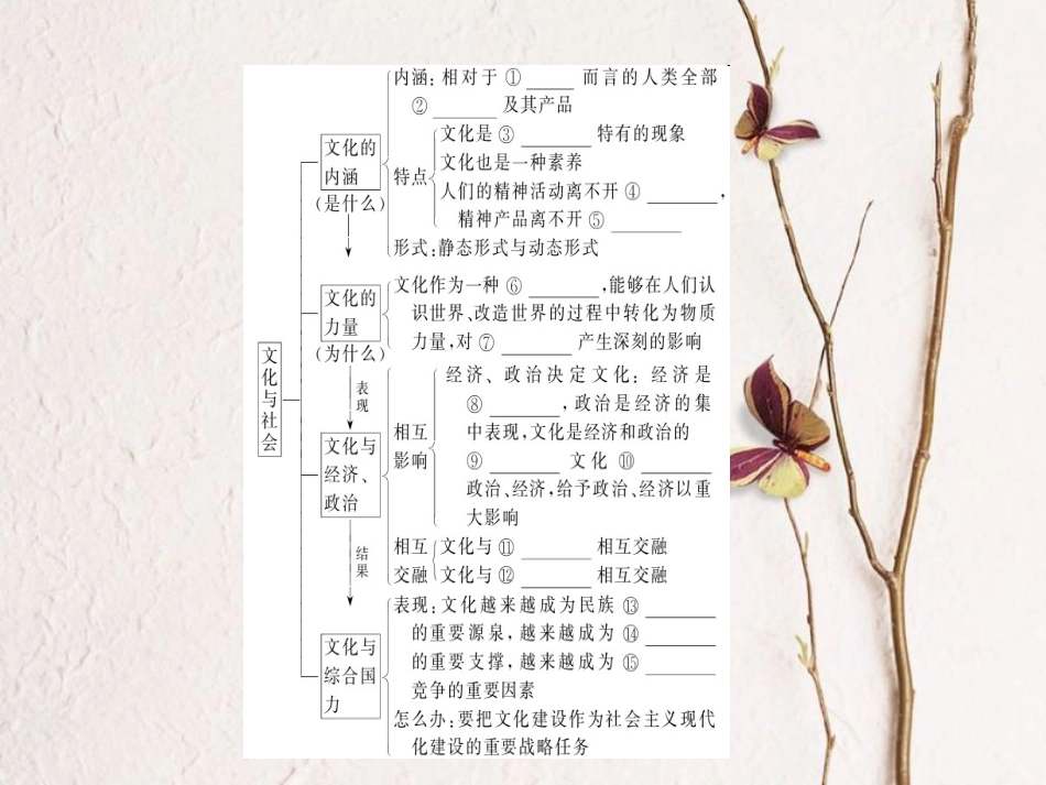 2019年高考政治一轮复习 第一单元 文化与生活 1 文化与社会课件 新人教版必修3[共53页]_第3页