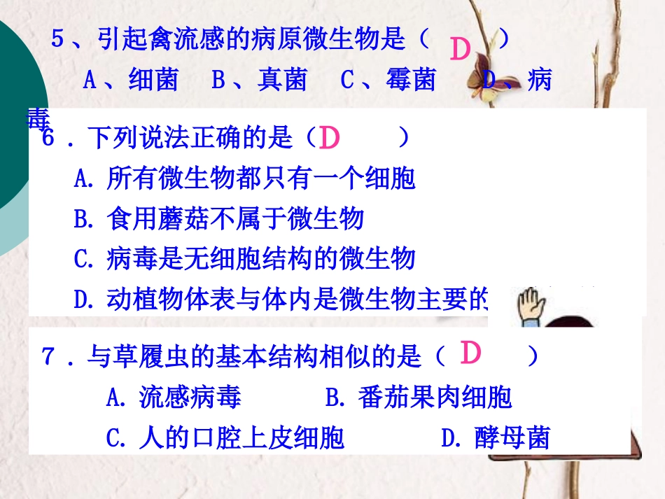 广东省深圳市八年级生物上册 19.1人的生殖和发育课件 （新版）北师大版(1)_第3页