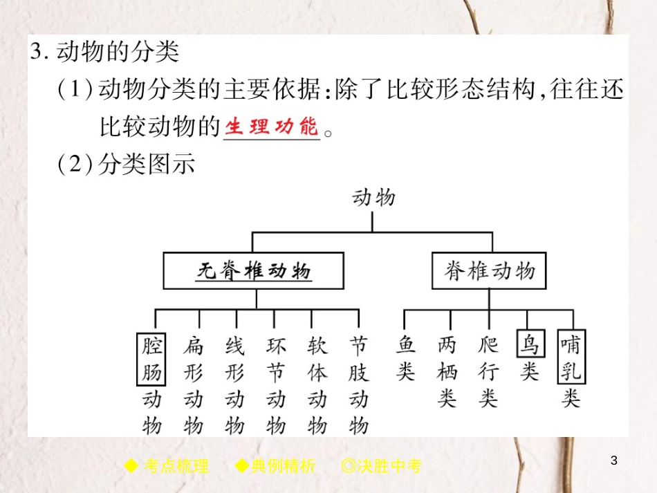 中考生物总复习 专题突破七 生物的多样性及其保护 第1讲课件(1)_第3页