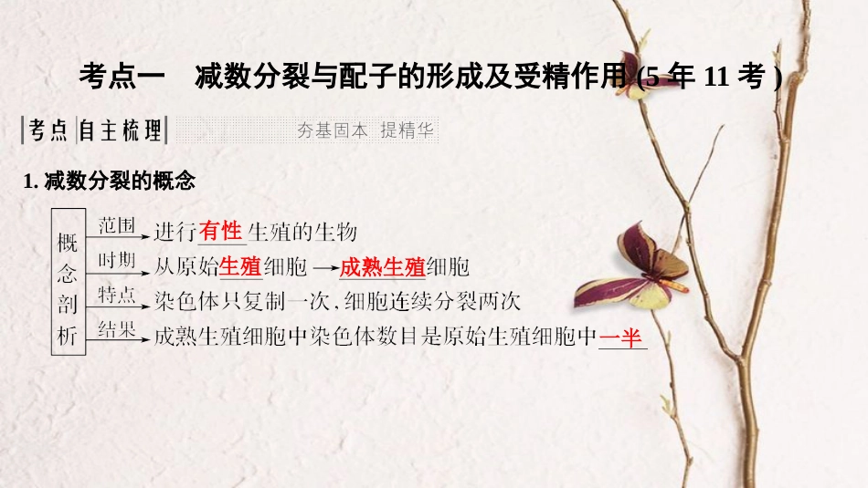 2019版高考生物一轮复习 第五单元 细胞的生命历程 第10讲 染色体在有性生殖中的变化创新备考课件 中图版_第2页