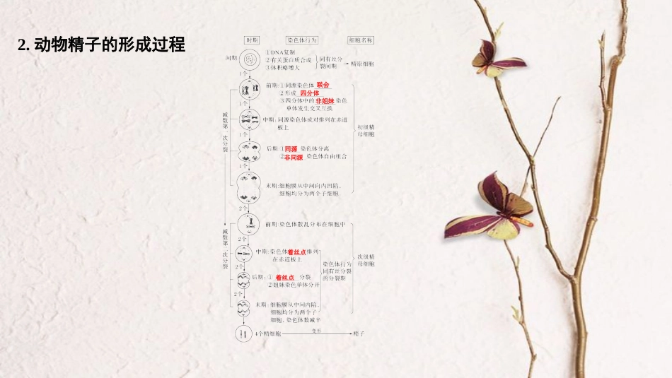 2019版高考生物一轮复习 第五单元 细胞的生命历程 第10讲 染色体在有性生殖中的变化创新备考课件 中图版_第3页