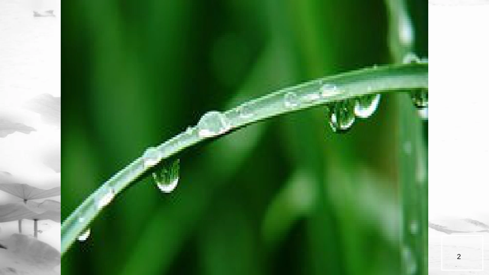 湖南省益阳市七年级语文上册 第一单元 3雨的四季课件 新人教版(1)_第2页