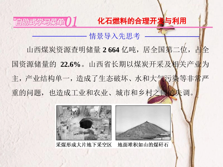 高中地理 第三章 自然资源的利用与保护 第二节 非可再生资源合理开发利用对策课件 新人教版选修6_第2页