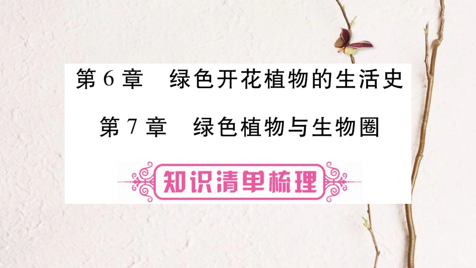 中考生物总复习 教材考点梳理 七上 第3单元 生物圈中的绿色植物 第6、7章课件 北师大版_第1页