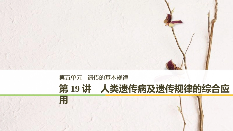 高考生物一轮复习 第5单元 遗传的基本规律 第19讲 人类遗传病及遗传规律的综合应用课件_第1页