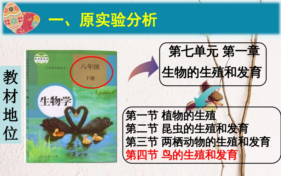 八年级生物下册 第七单元 第一章 第四鸟的生殖和发育 观察鸡卵的结构实验创新说课课件 （新版）新人教版(1)_第3页