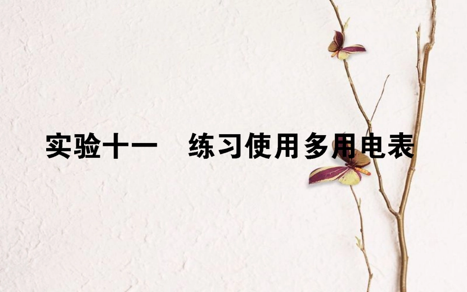 2019届高考物理一轮复习 第八章 恒定电流 实验十一课件_第1页