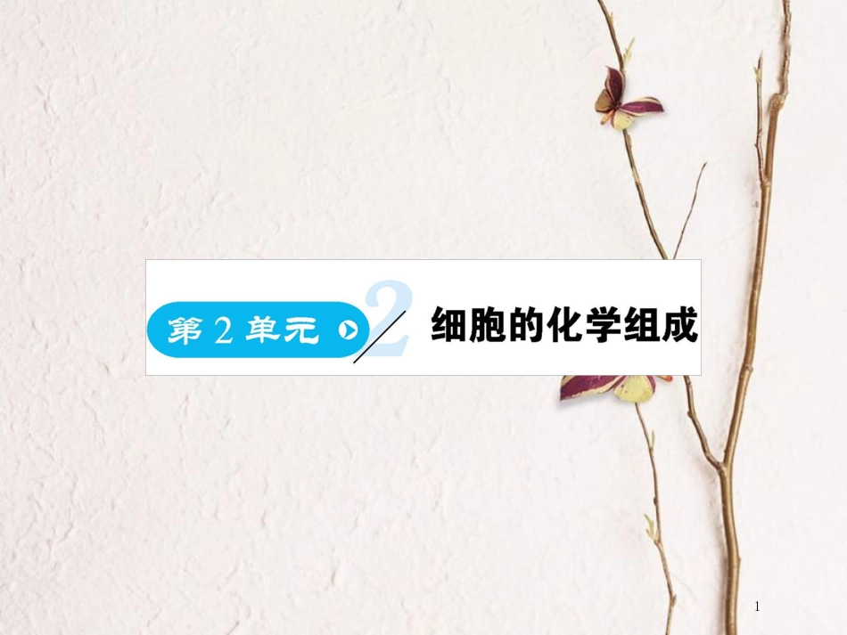 高中生物 第2单元 细胞的化学组成 第1课时 细胞中的元素和无机化合物复习课件 苏教版必修1(1)_第1页
