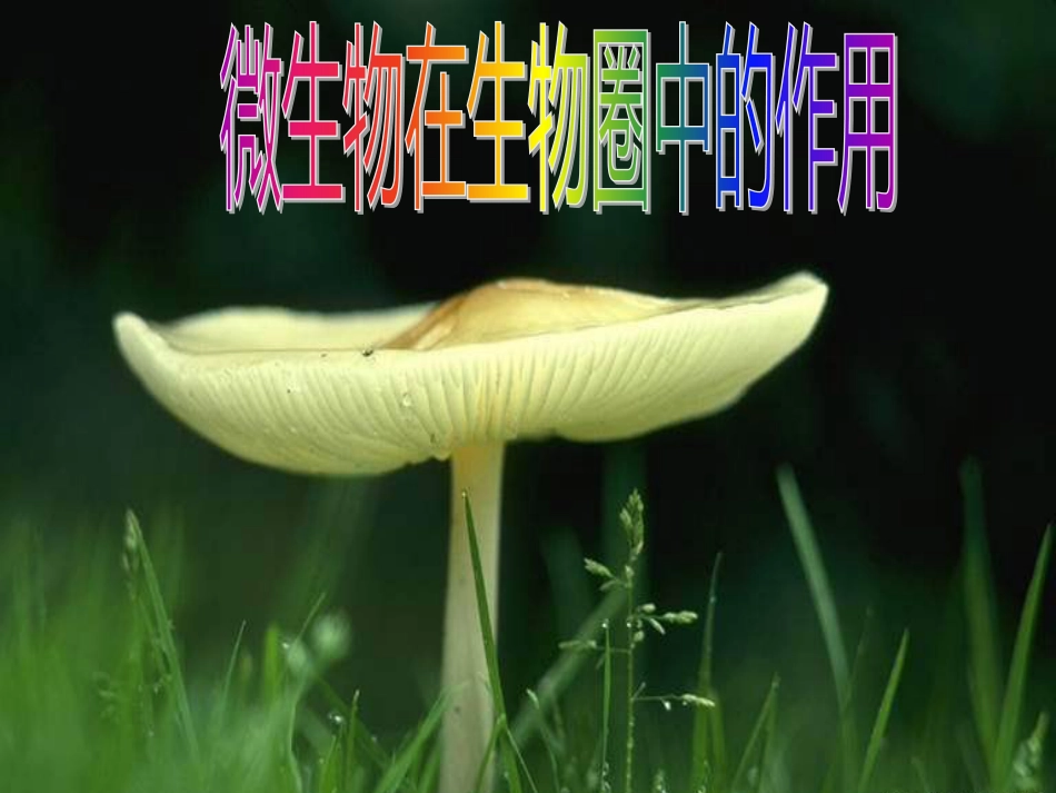 广东省深圳市八年级生物上册 18.1微生物在生物圈中的作用课件 （新版）北师大版_第2页