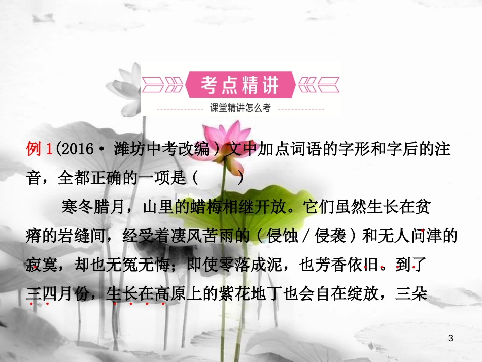 （潍坊专版）中考语文 专题一 字音字形复习课件_第3页