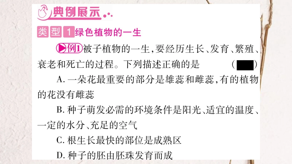 中考生物总复习 知能综合突破 专题3 生物圈中的绿色植物课件_第3页