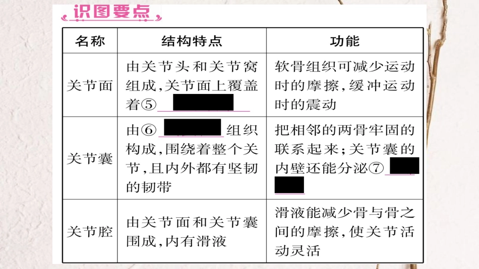 中考生物总复习 教材考点梳理 八上 第5单元 第2、3章课件 新人教版_第3页