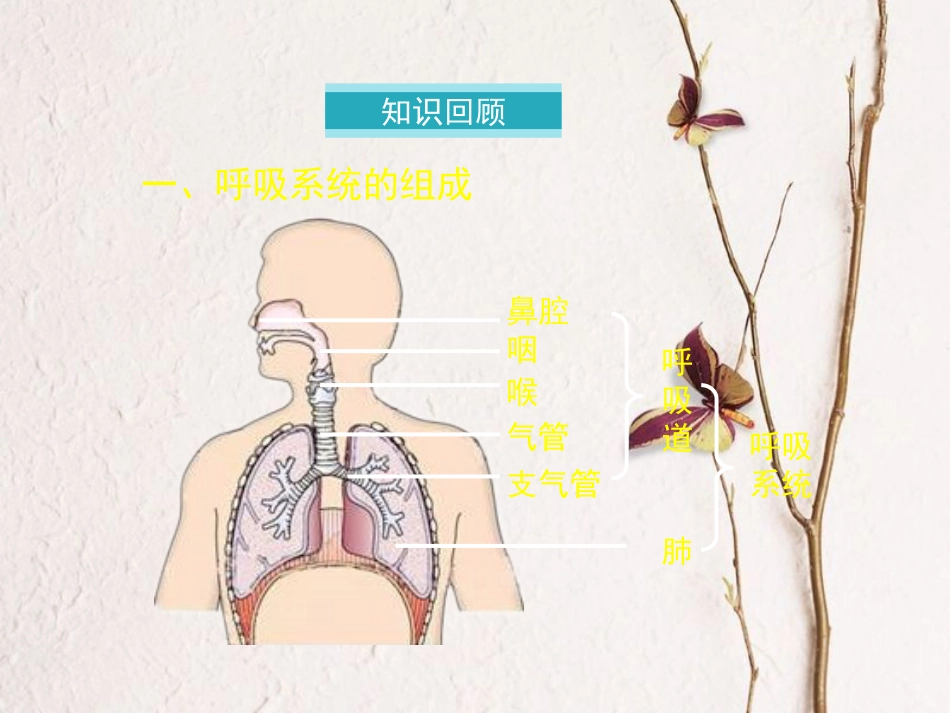 七年级生物下册 第三章第二节《发生在肺内的气体交换》课件 （新版）新人教版_第1页