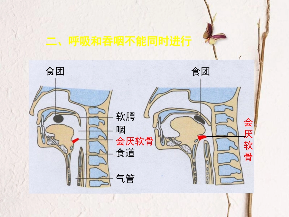 七年级生物下册 第三章第二节《发生在肺内的气体交换》课件 （新版）新人教版_第2页