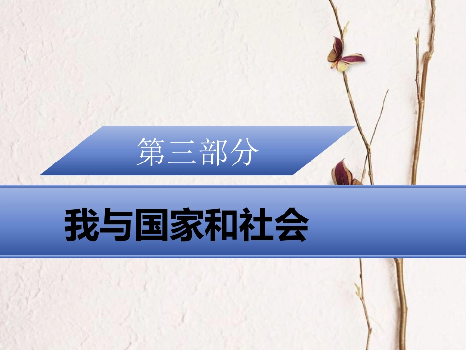 广东省中考政治 第三部分 我与国家和社会复习课件_第1页