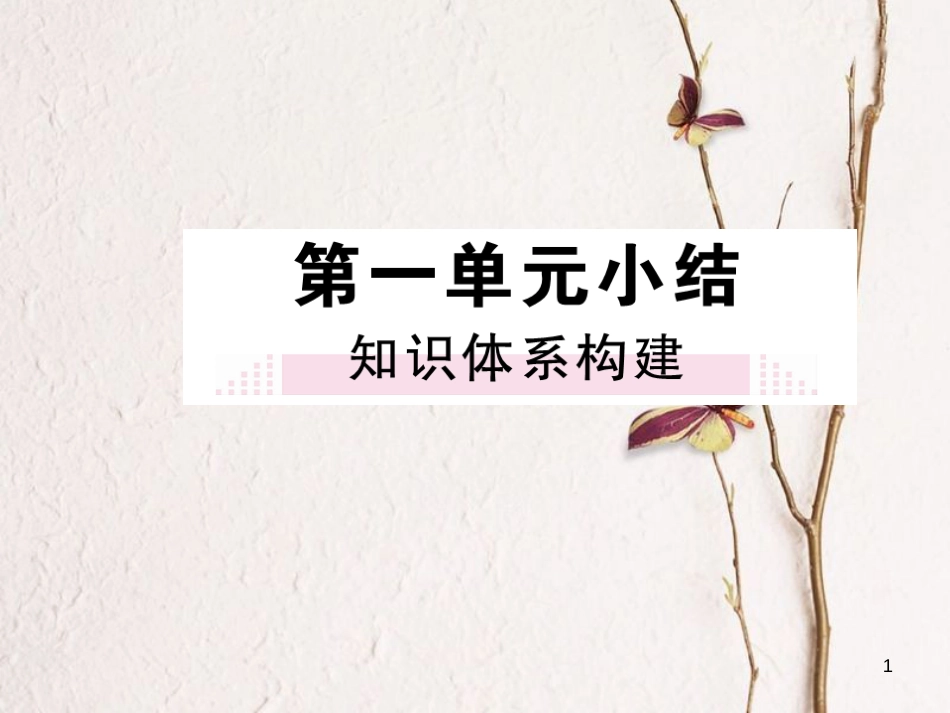 八年级历史下册 第一单元 新中国政权的建立和巩固小结课件 川教版(1)_第1页
