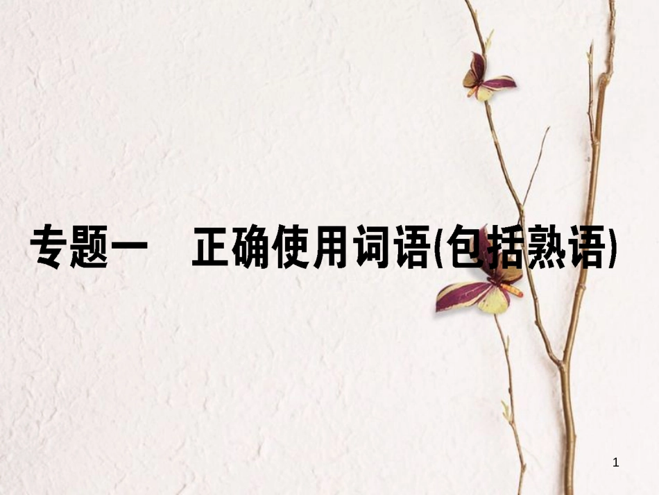 2019届高三语文一轮复习 专题一 正确使用词语（包括熟语）课件_第1页