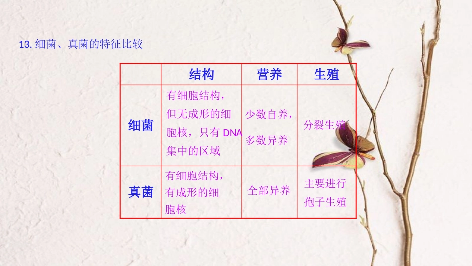 广东省河源市八年级生物上册 期末复习（二）课件 新人教版_第2页