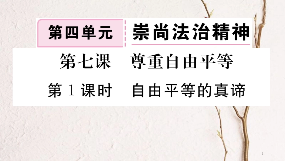 八年级道德与法治下册 第四单元 崇尚法治精神 第八课 维护公平正义 第1框 自由平等的真谛习题讲评课件 新人教版_第1页
