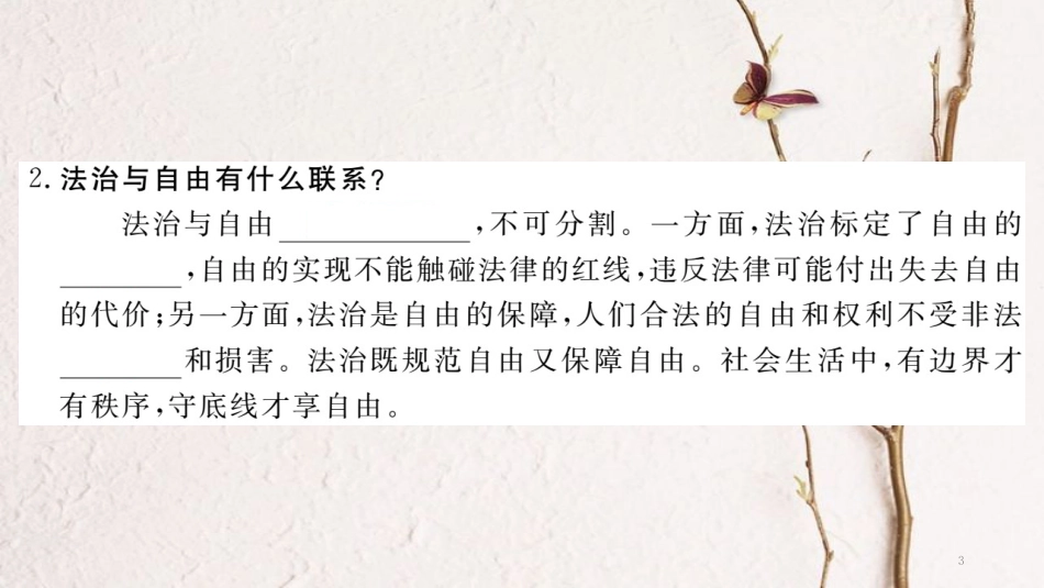 八年级道德与法治下册 第四单元 崇尚法治精神 第八课 维护公平正义 第1框 自由平等的真谛习题讲评课件 新人教版_第3页