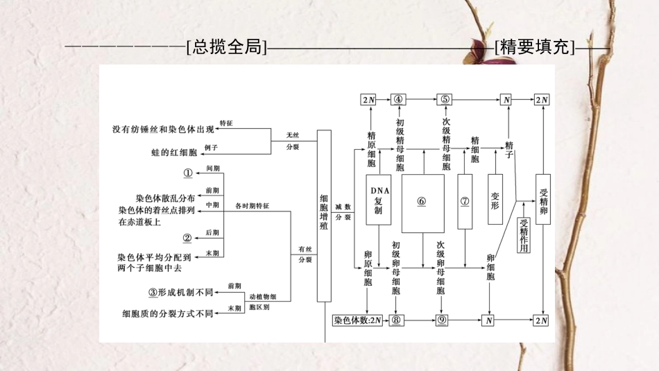 高三生物一轮复习 第4单元 单元高效整合课件 新人教版必修1_第2页