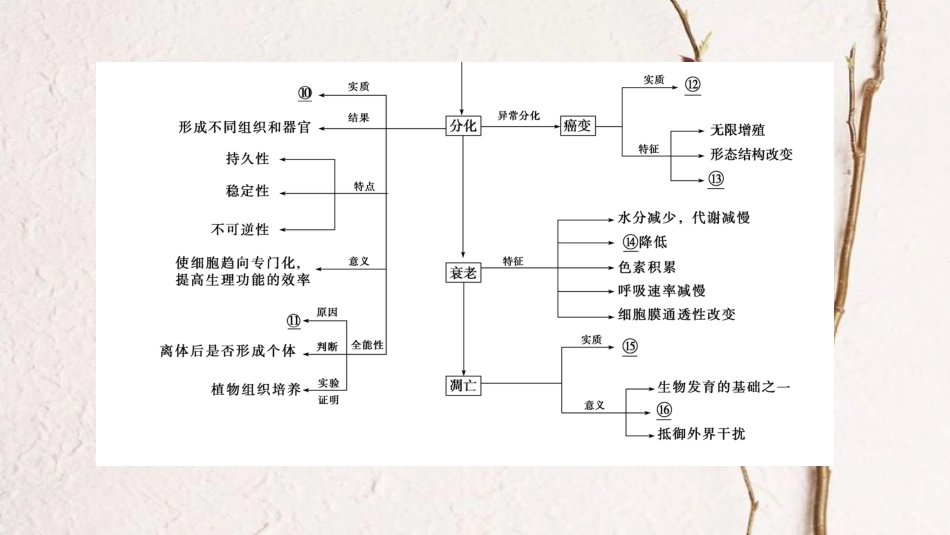 高三生物一轮复习 第4单元 单元高效整合课件 新人教版必修1_第3页