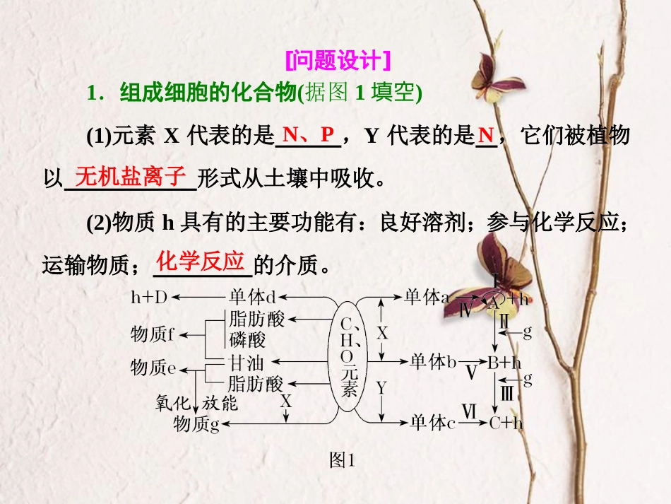 （全国通用）高考生物二轮复习 专题一 细胞 串讲一 细胞的物质基础、结构与功能、物质运输 第2课时 高考研究课件_第3页