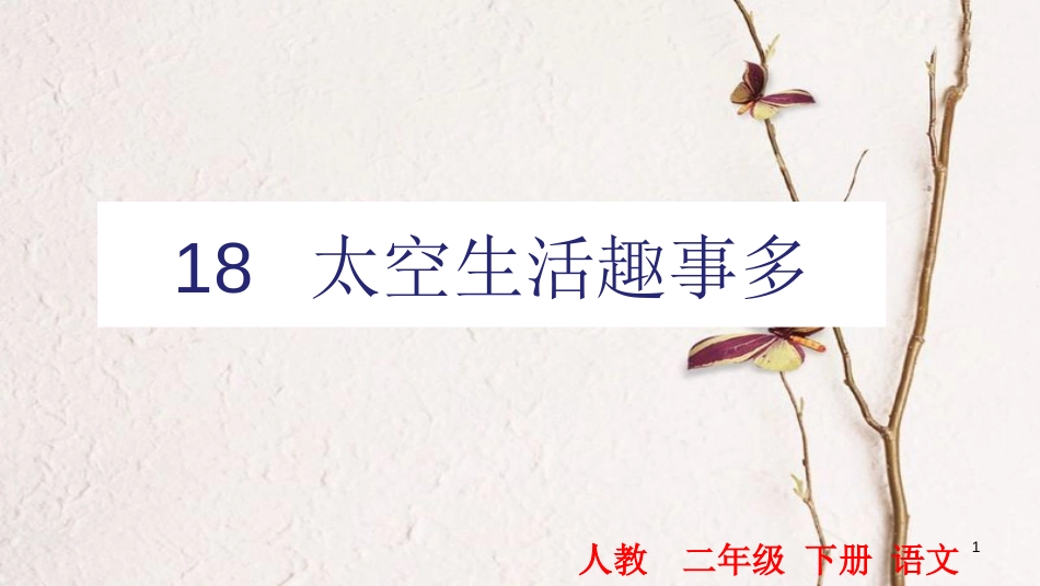 二年级语文下册 课文5 18 太空生活趣事多课件 新人教版(1)_第1页