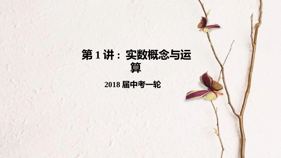 中考数学一轮复习 1 实数概念与运算课件_第1页