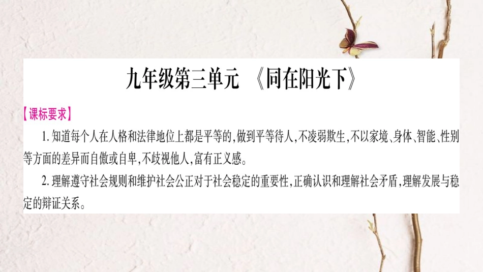 （广西专版）中考政治总复习 九年级 第3单元 同在阳光下课件(1)_第1页