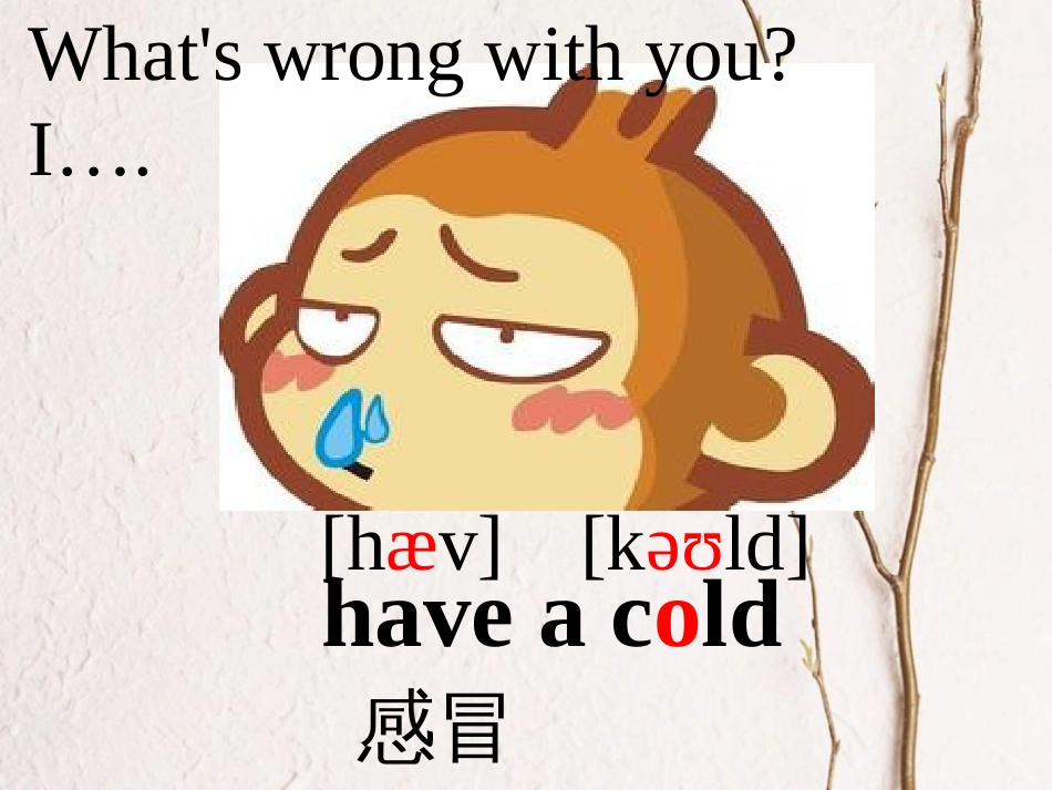 五年级英语下册 unit 7 i have a headache课件4 陕旅版_第2页