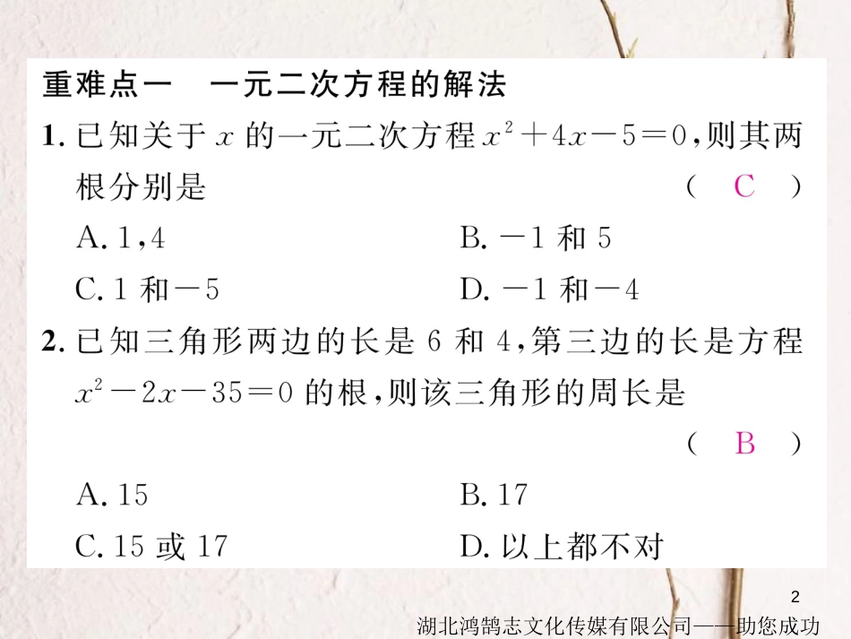 八年级数学下册 第17章 一元二次方程重难点突破作业课件 （新版）沪科版_第2页