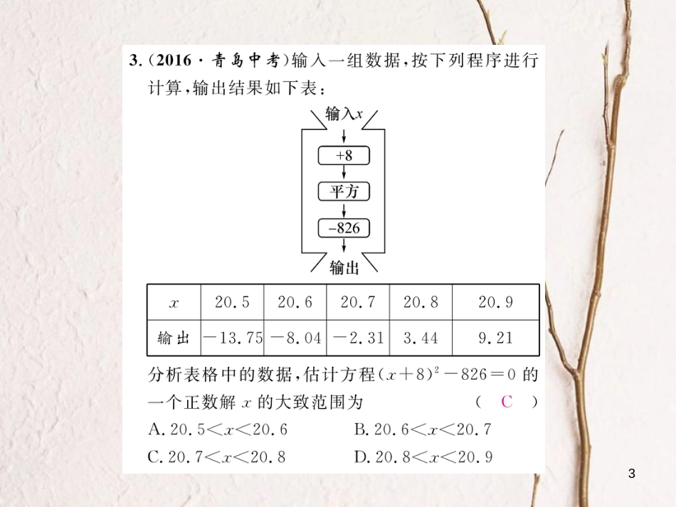 八年级数学下册 第17章 一元二次方程重难点突破作业课件 （新版）沪科版_第3页