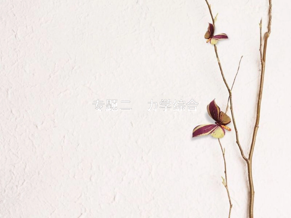 中考物理 专题二 力学综合复习课件 新人教版(1)_第1页
