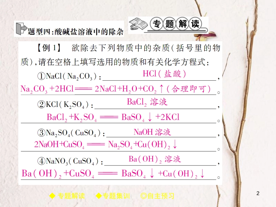 九年级化学下册 专题特训 复分解反应的应用（二）习题课件 （新版）新人教版(1)_第2页