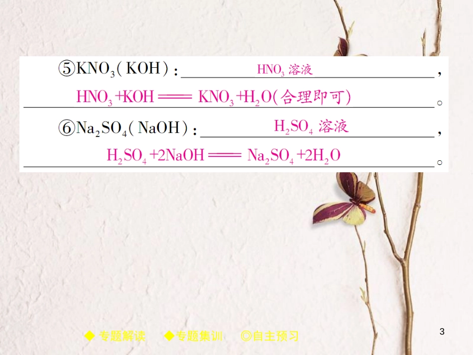 九年级化学下册 专题特训 复分解反应的应用（二）习题课件 （新版）新人教版(1)_第3页