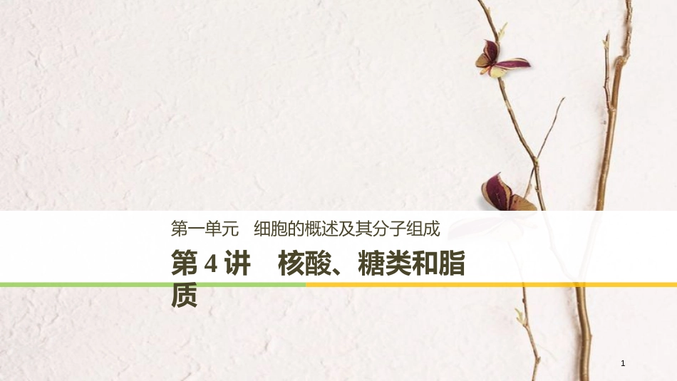 高考生物一轮复习 第1单元 细胞的概述及其分子组成 第4讲 核酸、糖类和脂质课件(1)_第1页