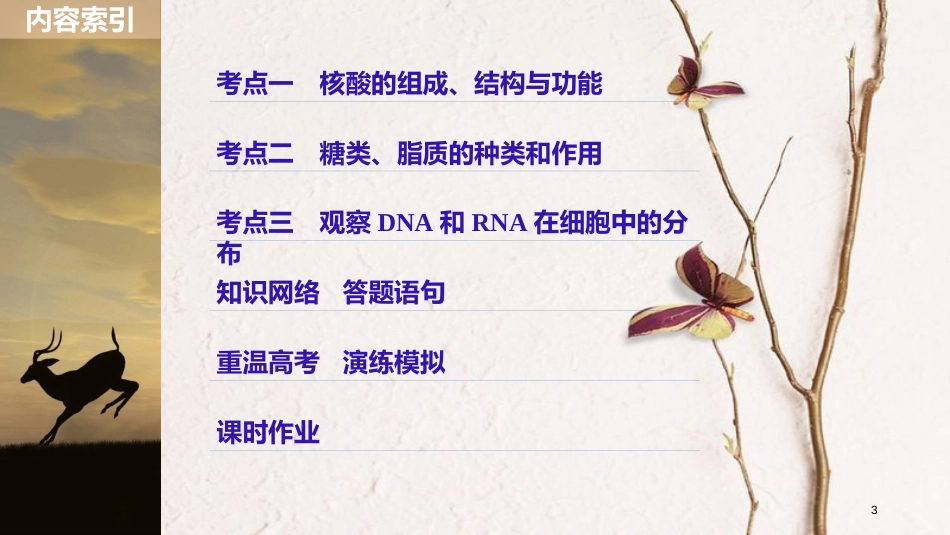 高考生物一轮复习 第1单元 细胞的概述及其分子组成 第4讲 核酸、糖类和脂质课件(1)_第3页