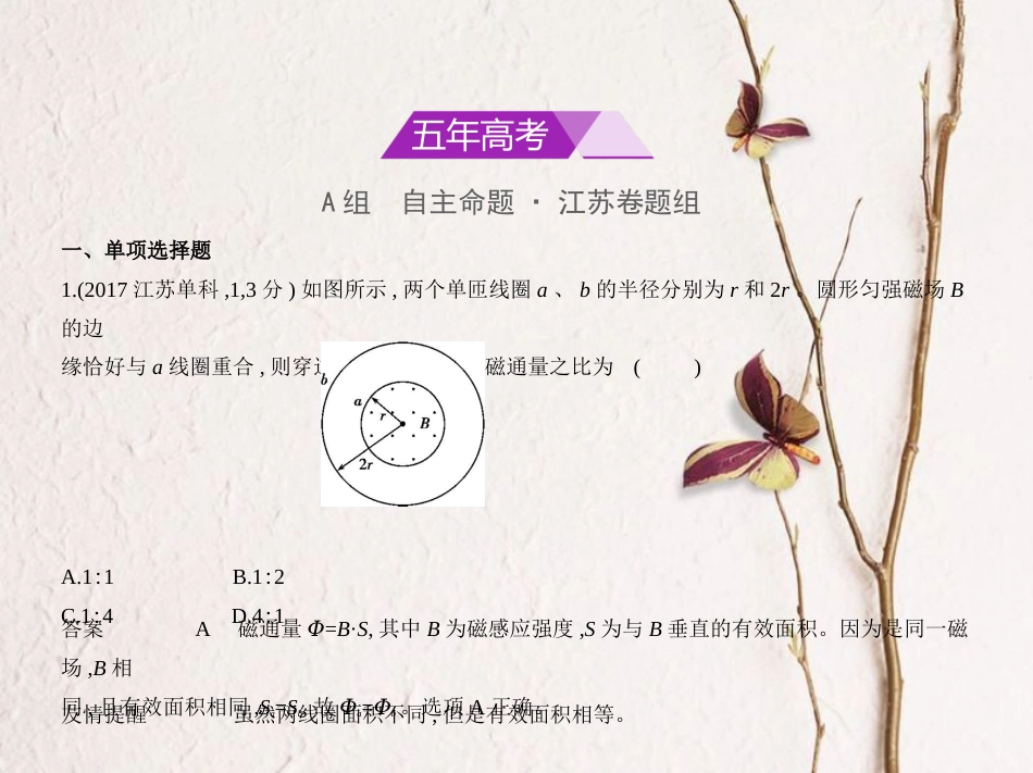 （江苏专用）2019版高考物理总复习 专题九 磁场课件(1)_第2页