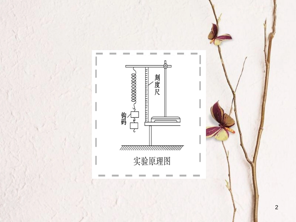 高考物理一轮总复习 实验2 探究弹力和弹簧伸长的关系课件(1)_第2页