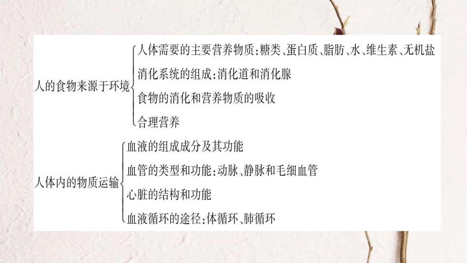 中考生物总复习 知能综合突破 专题4 生物圈中的人课件(1)_第2页
