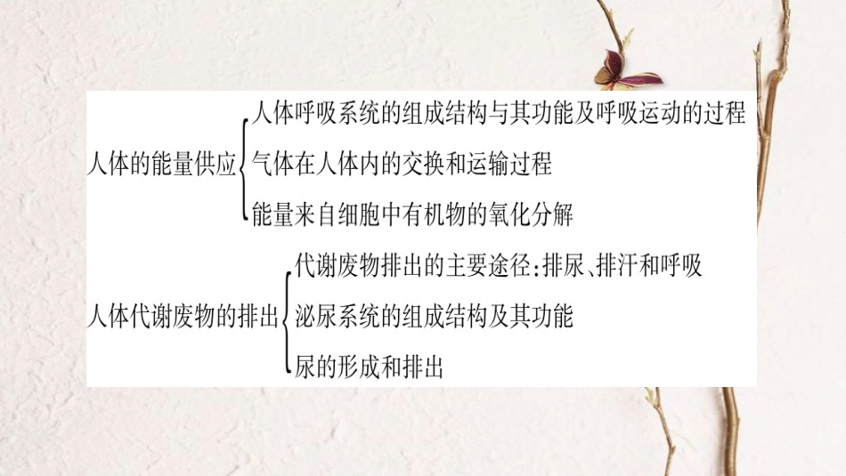 中考生物总复习 知能综合突破 专题4 生物圈中的人课件(1)_第3页