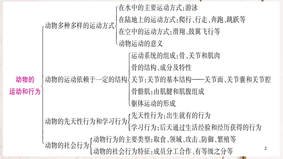 中考生物总复习 知能综合突破 专题5 动物的运动和行为课件_第2页